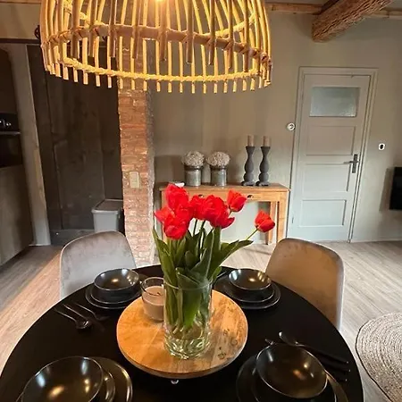 Vakantiewoning In Het Heuvelland Nabij Valkenburg. *
