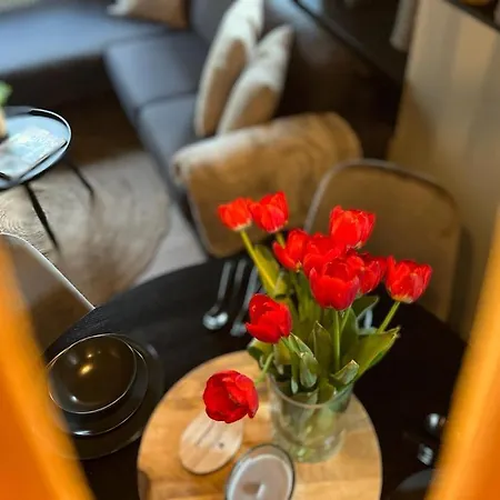 Vakantiewoning In Het Heuvelland Nabij Valkenburg. *
