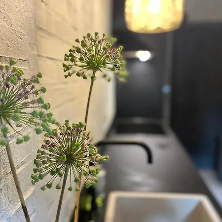 Vakantiewoning In Het Heuvelland Nabij Valkenburg. Valkenburg aan de Geul