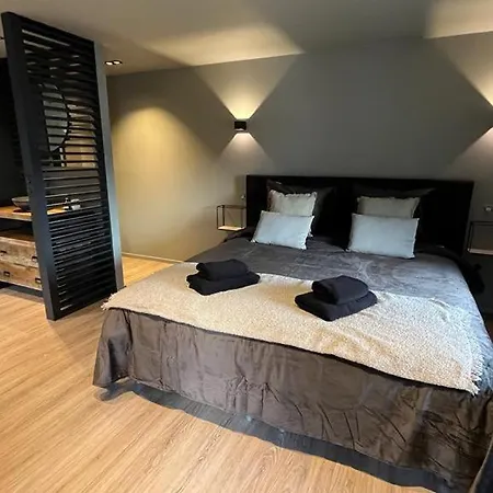 Vakantiewoning In Het Heuvelland Nabij Valkenburg.